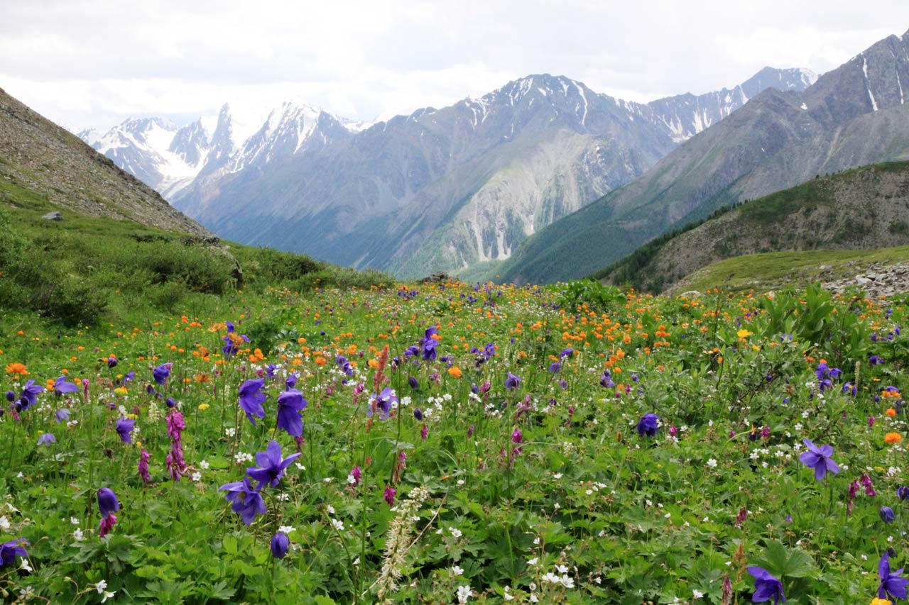 Altai Gebirge